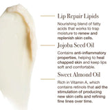 The Dream Slip Overnight Lip Mask