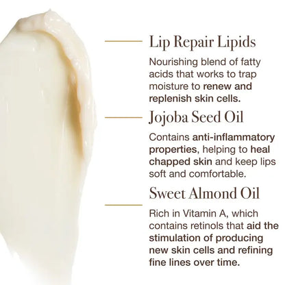 The Dream Slip Overnight Lip Mask