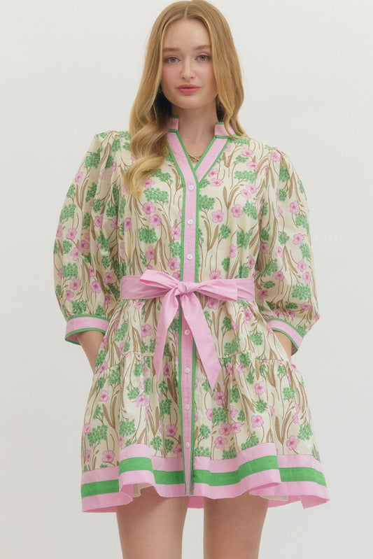 The Pastel Dress