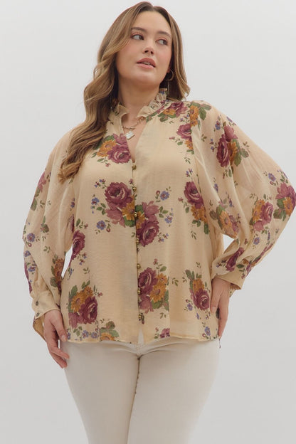 The Shannon Top